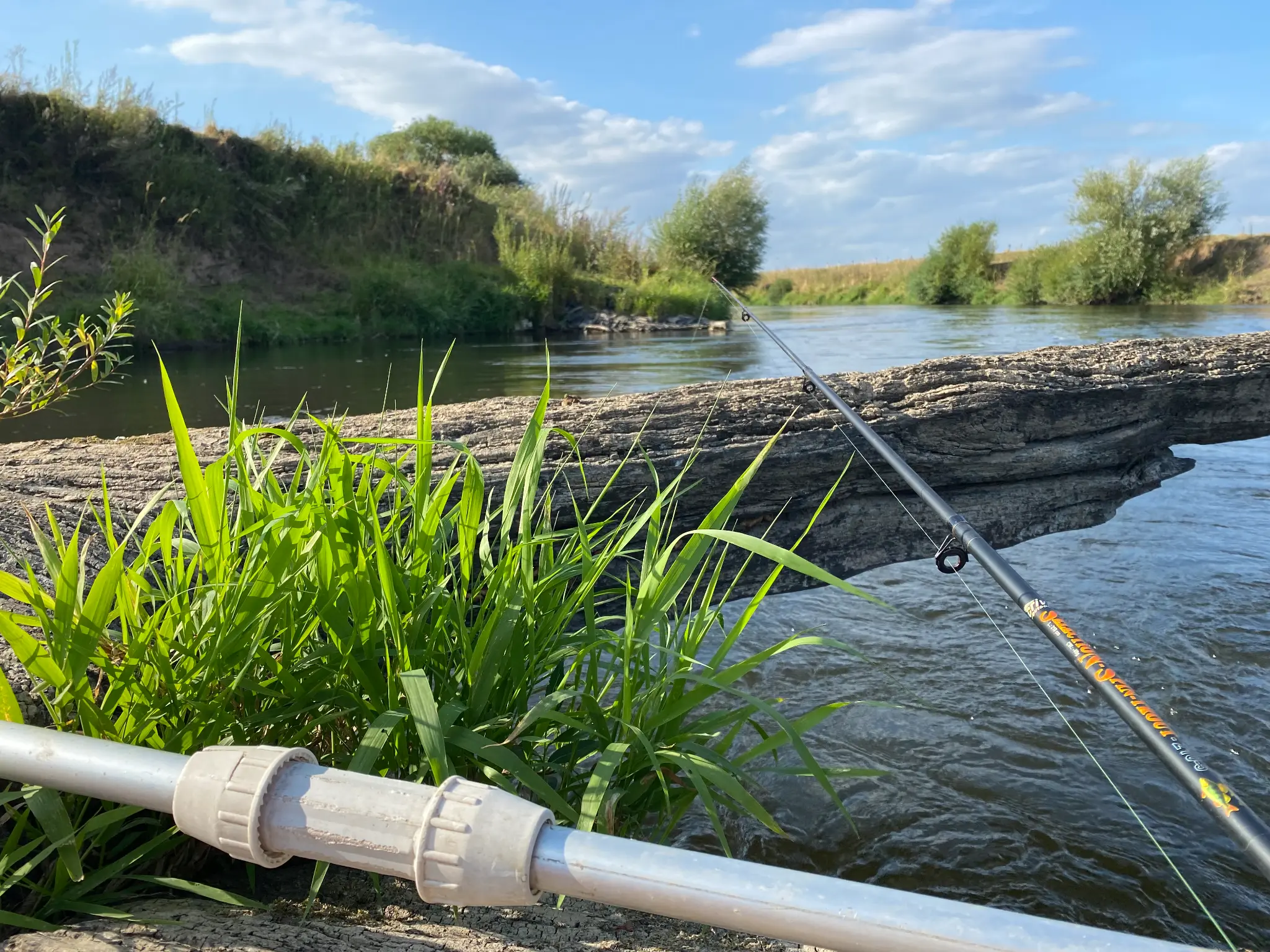 Angelrute am Wasser - Natur pur