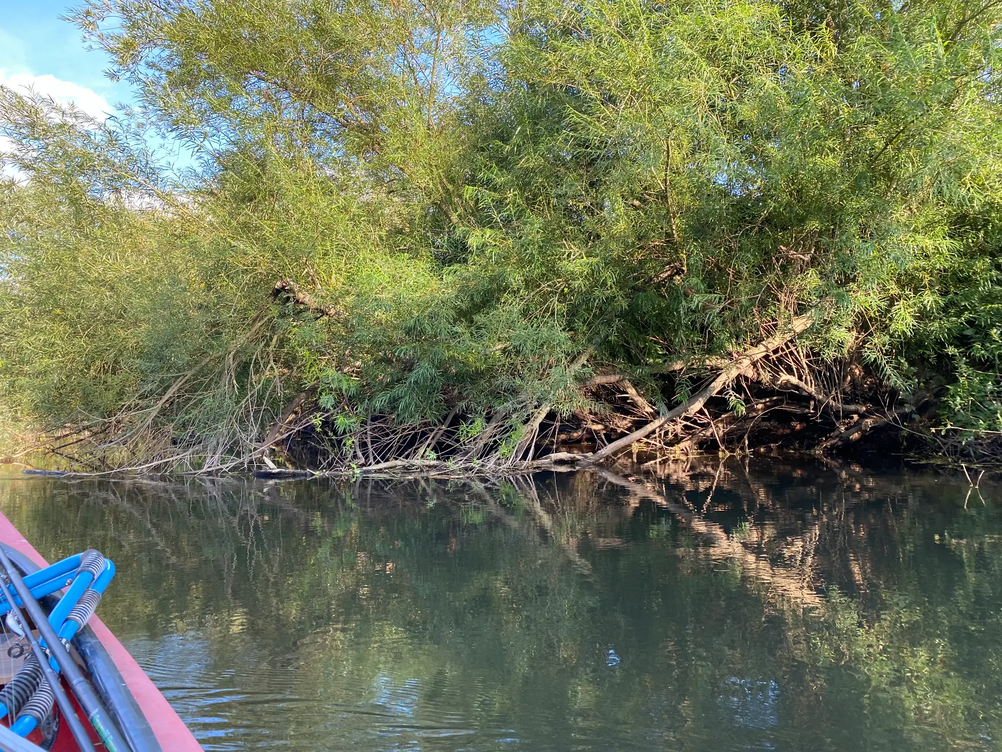 Naturlandschaft an der Leine